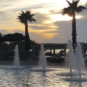 Meet your Posher, Brandi